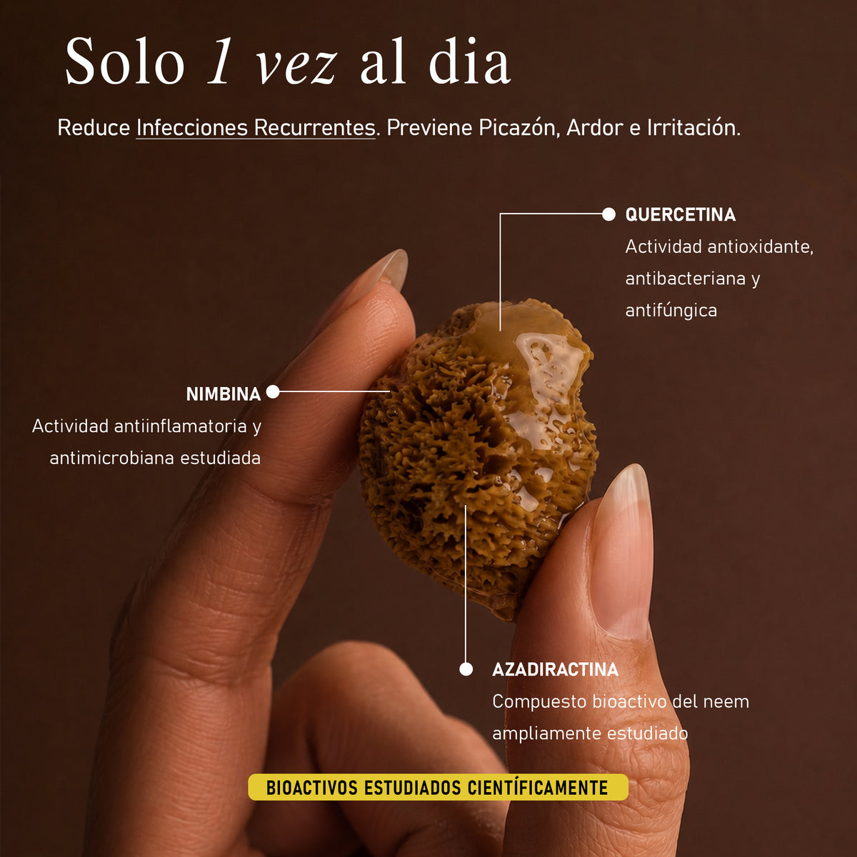 Óvulo Natural de Neem — NeemLab®